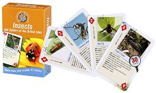 Insects and Spiders of the British Isles -    - 