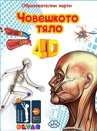   -     4D   - 